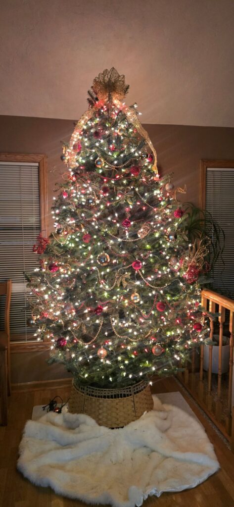 Christmas Tree Review Pic 001