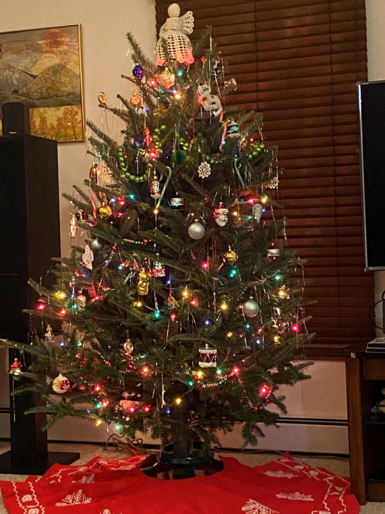 Christmas Tree Review Pic 002