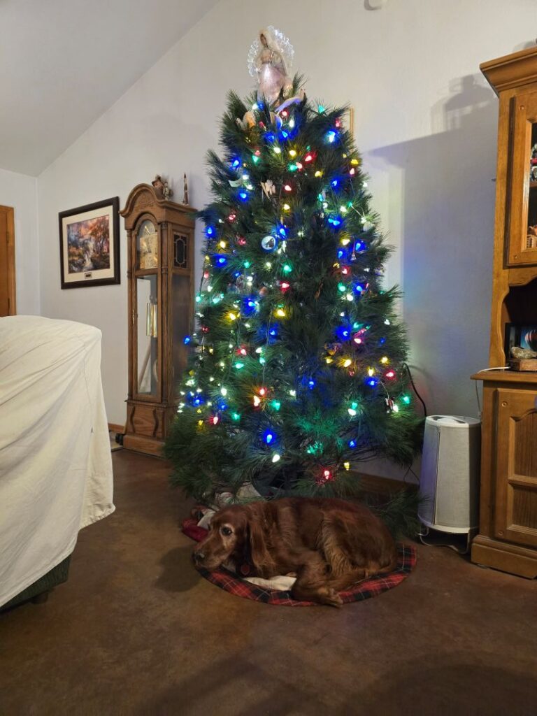 Christmas Tree Review Pic 003