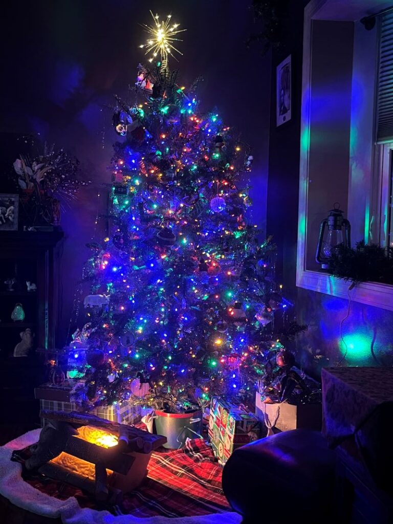 Christmas Tree Review Pic 006