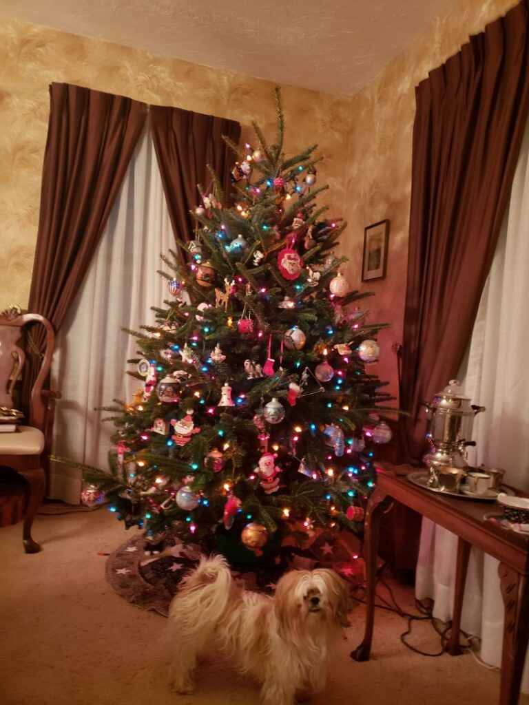 Christmas Tree Review Pic 007