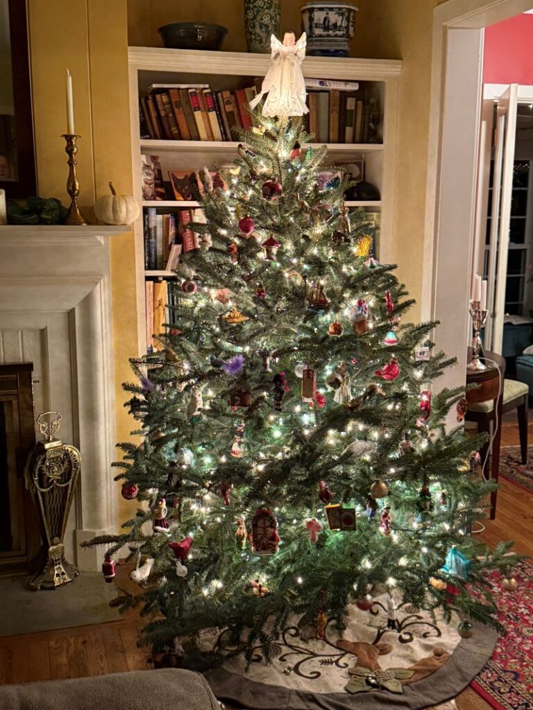 Christmas Tree Review Pic 008