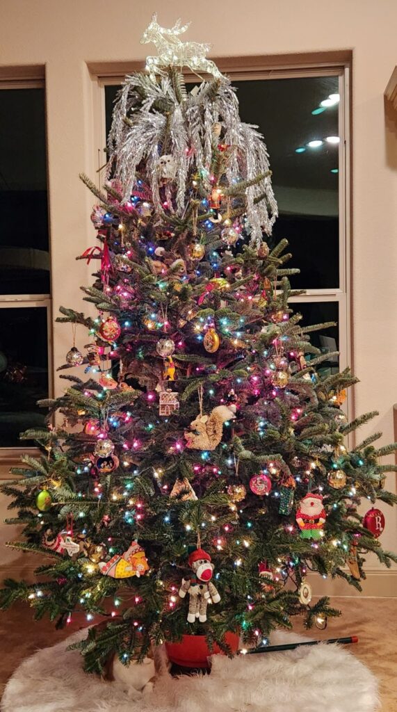 Christmas Tree Review Pic 009