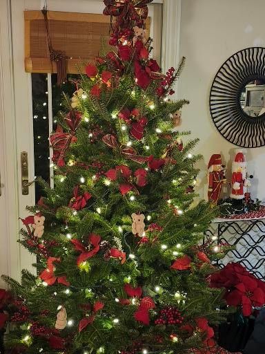 Christmas Tree Review Pic 011