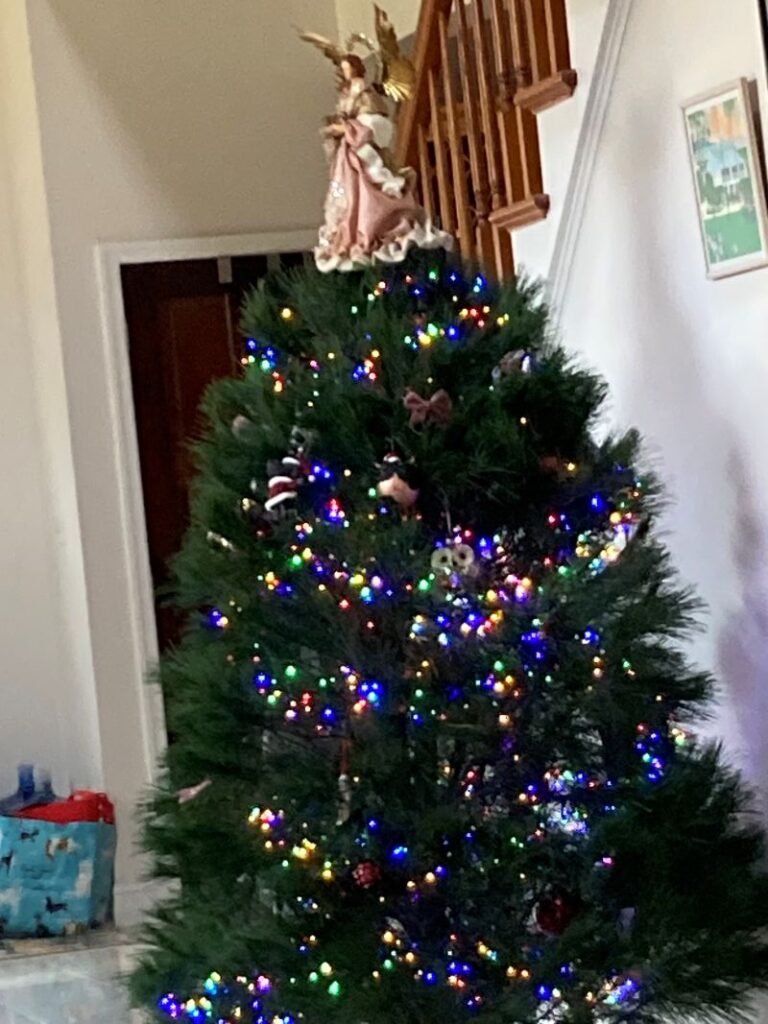 Christmas Tree Reviews 012