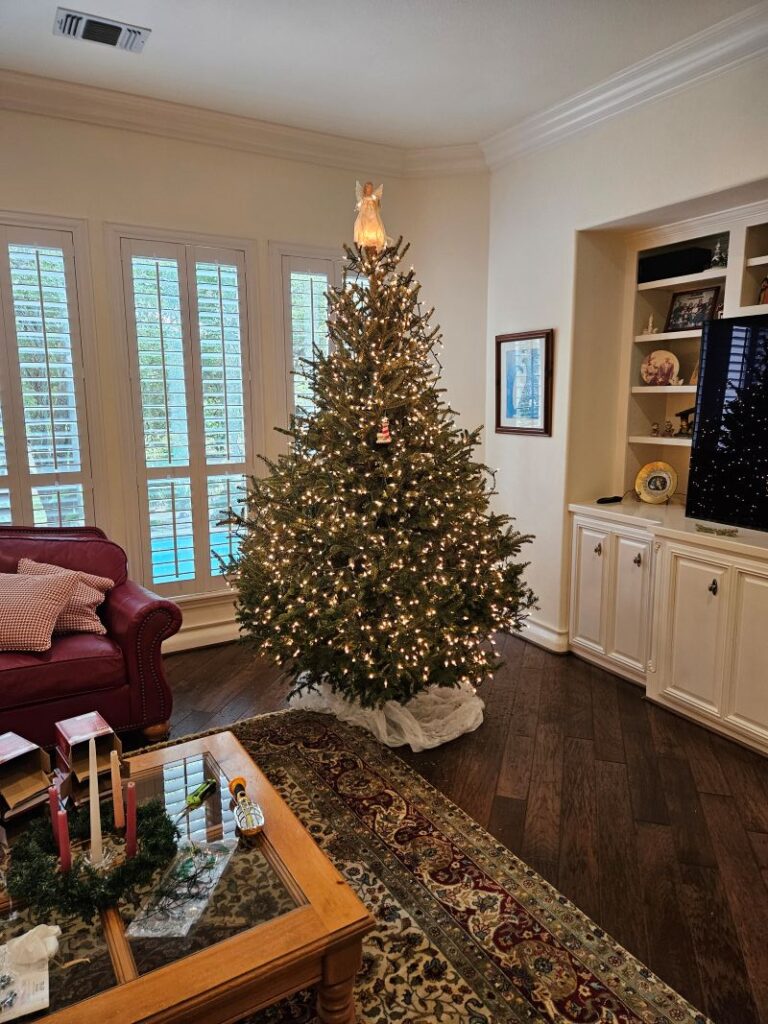 Christmas Tree Review Pic 014