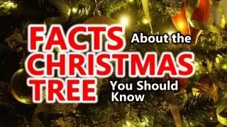 Artificial Christmas Tree Facts