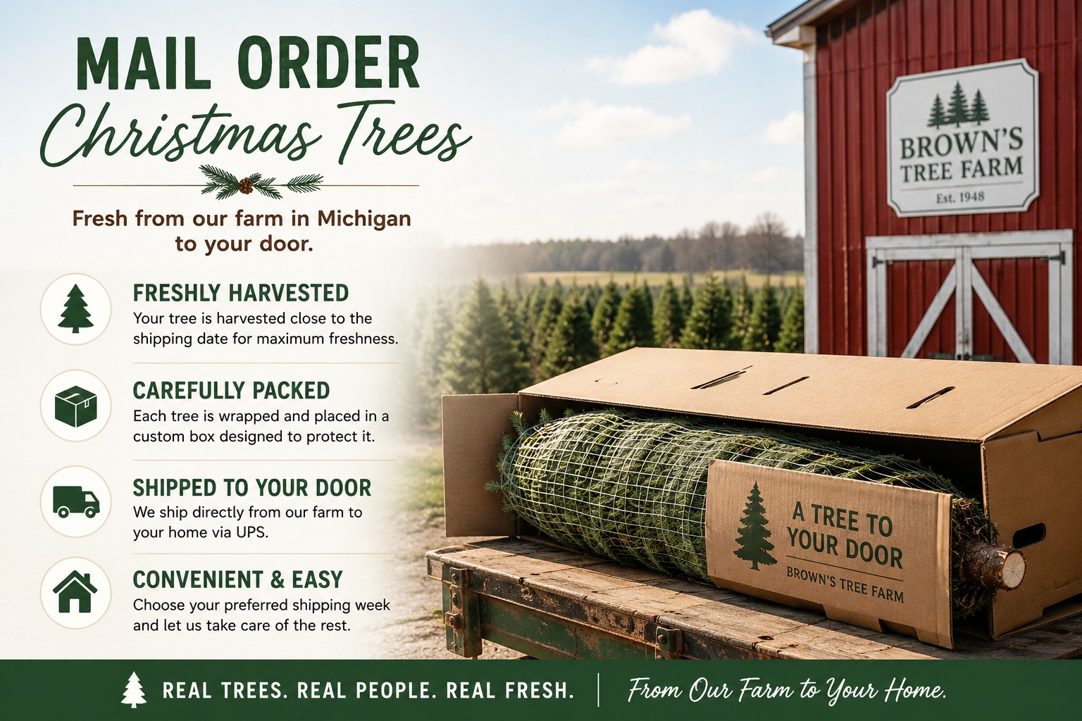 Mail Order Christmas Trees